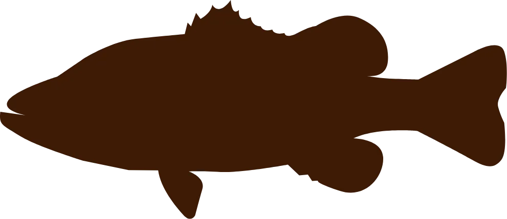 Fish Icon