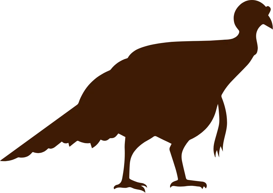 Turkey Icon