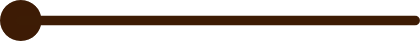 Brown Line with Dot on Left