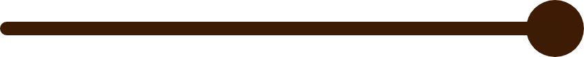 Brown Line with Dot on Right
