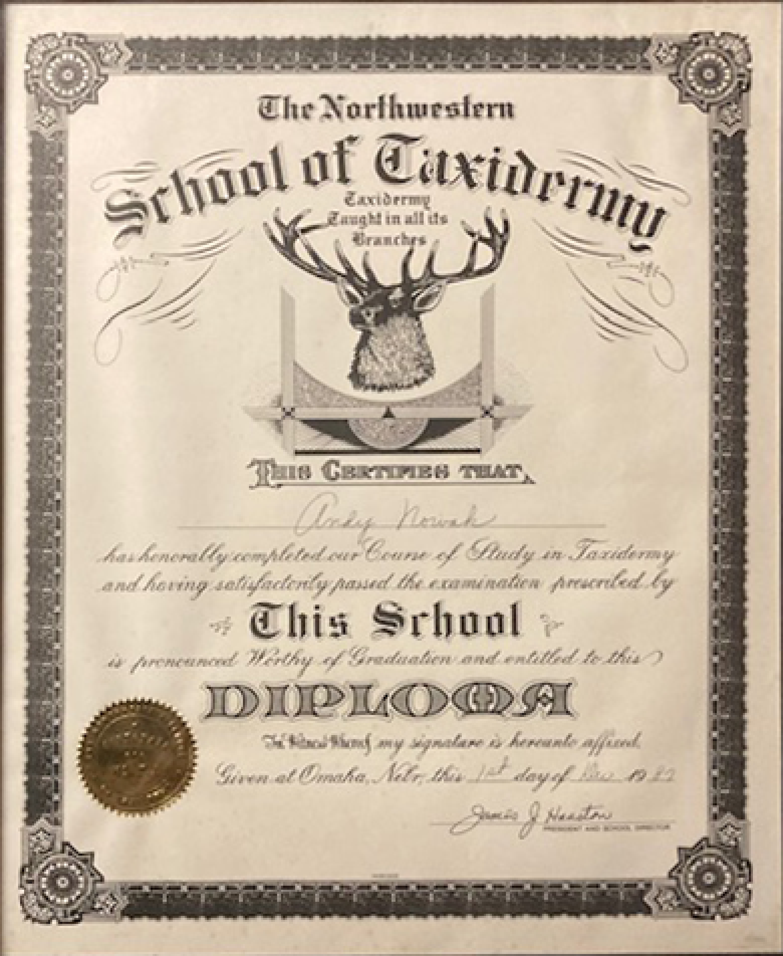 School of Taxidermy Certificate